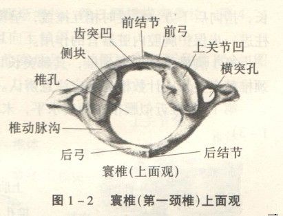 颈椎病