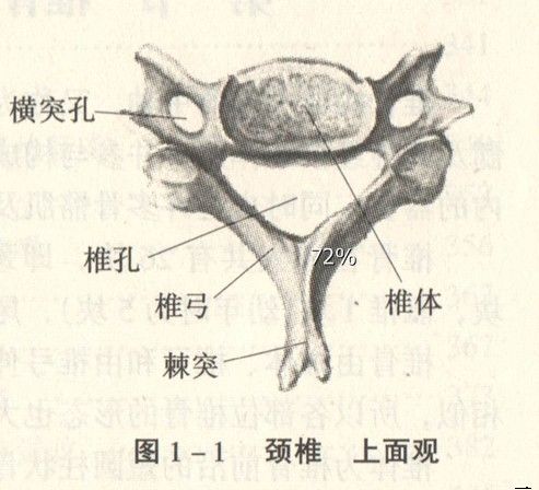 颈椎病