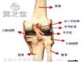 如何防治创伤性膝关节炎？